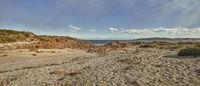 an open air area that appears to have a rocky coastline surrounded by plants and rocks