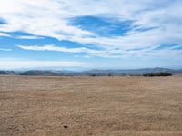 a lone bird on a barren plain beneath a partly cloudy sky while sitting alone in the middle of nowhere