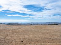 a lone bird on a barren plain beneath a partly cloudy sky while sitting alone in the middle of nowhere