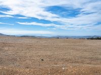 a lone bird on a barren plain beneath a partly cloudy sky while sitting alone in the middle of nowhere