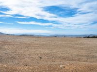 a lone bird on a barren plain beneath a partly cloudy sky while sitting alone in the middle of nowhere