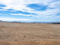 a lone bird on a barren plain beneath a partly cloudy sky while sitting alone in the middle of nowhere