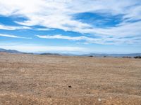 a lone bird on a barren plain beneath a partly cloudy sky while sitting alone in the middle of nowhere