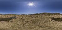 a view of the sun over the fields of dry grass, and there's a little stream in front