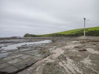 Highland Vegetation: A Gloom Surrounds the Area