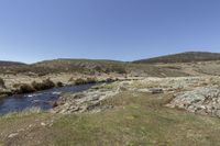 Highland Vegetation: A Vast and Open Space