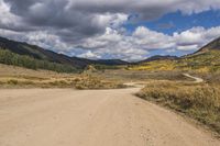 Highland Wilderness: Straight Path Leading to a Curve