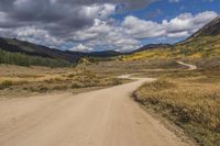 Highland Wilderness: Straight Path Leading to a Curve