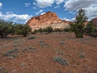 Highway 12 in Utah: A Landscape of Capitol Reef