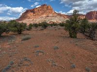 Highway 12 in Utah: A Landscape of Capitol Reef