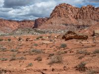 Highway 12, Utah: Open Space and Natural Beauty