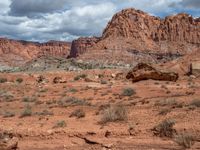 Highway 12, Utah: Open Space and Natural Beauty