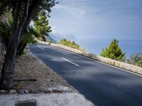 a long, empty, straight road is lined with trees and bushes in front of the ocean