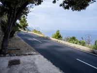 a long, empty, straight road is lined with trees and bushes in front of the ocean
