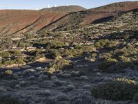 a highway going through the middle of a barren mountainside, with small bushes growing on both sides