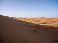 people hiking in the desert with vehicles on them with dirt terrain surrounding them and sand dunes