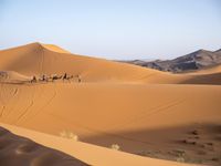 people hiking in the desert with vehicles on them with dirt terrain surrounding them and sand dunes