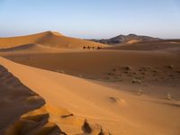 people hiking in the desert with vehicles on them with dirt terrain surrounding them and sand dunes