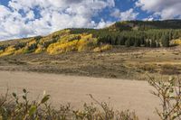 the road passes a sandy hill and forest filled with golden fall leaves as a person rides a horse on the opposite side