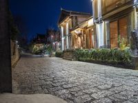 a cobblestone paved street at night, with steps to buildings in the background