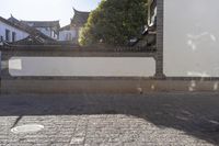 a dog stands in front of a stone wall with a gate to his side while another dog sits in the ground on a brick floor