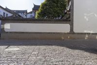 a dog stands in front of a stone wall with a gate to his side while another dog sits in the ground on a brick floor