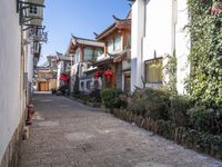 Historic Architecture in Cobblestone Lanes