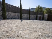 a stone walkway with tall cypress trees and fence in background behind the wall by some rocks