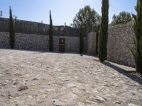 a stone walkway with tall cypress trees and fence in background behind the wall by some rocks