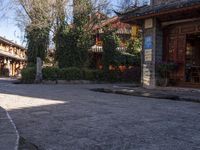 a horse walking on a cobblestone street near a shop frontside to houses