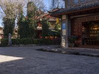 a horse walking on a cobblestone street near a shop frontside to houses