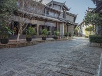 the path has plants and potted trees in front of the buildings and a gate