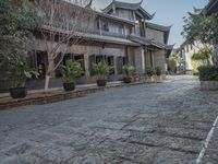 the path has plants and potted trees in front of the buildings and a gate