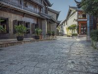 the path has plants and potted trees in front of the buildings and a gate