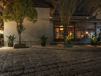 a building with lots of plants in a courtyard at night with a bench to the left