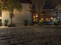 a building with lots of plants in a courtyard at night with a bench to the left