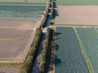 an aerial shot of farms in the countryside of france in the summertime with the truck being driven along