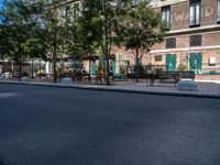 a street and an empty area with benches, a bench, and other trees surrounding the pavement