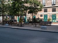 a street and an empty area with benches, a bench, and other trees surrounding the pavement