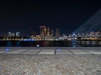 City of Holland at Night: A View of the Waterfront