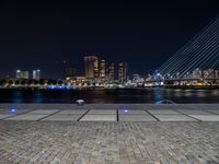 City of Holland at Night: A View of the Waterfront