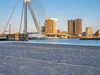 a group of people standing on the side of a river near a bridge, buildings and a street