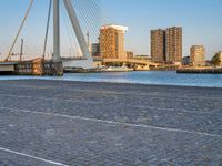 a group of people standing on the side of a river near a bridge, buildings and a street