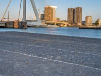 a group of people standing on the side of a river near a bridge, buildings and a street