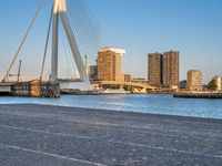 a group of people standing on the side of a river near a bridge, buildings and a street