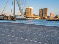 a group of people standing on the side of a river near a bridge, buildings and a street