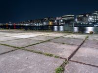 there are weeds on the ground by the water and buildings in the background at night