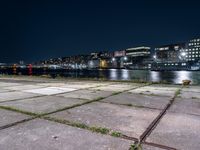 there are weeds on the ground by the water and buildings in the background at night