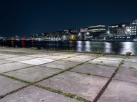 there are weeds on the ground by the water and buildings in the background at night