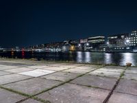 there are weeds on the ground by the water and buildings in the background at night